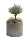 Preview: pot design