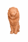 Preview: Grand lion en terracotta Galestro – statue de jardin majestueuse