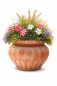 Preview: Pot en terre cuite toscan au design antique