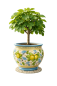 Preview: Pot en céramique toscane décor citrons