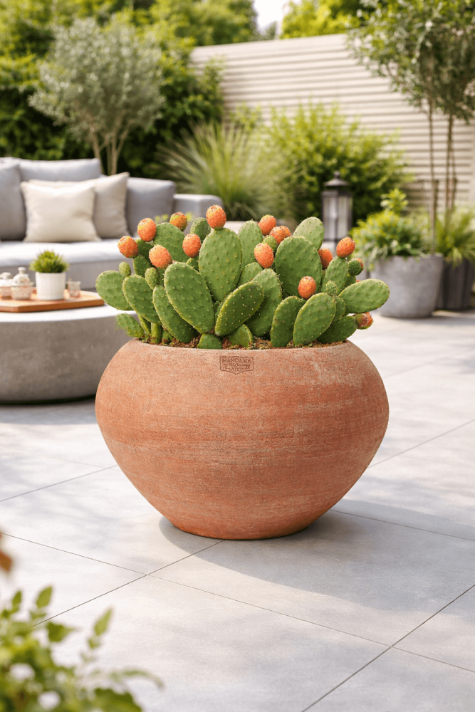 Preview: Pot rond moderne en terre cuite d’Impruneta - Alba