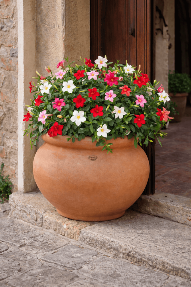 Pot en terre cuite d’Impruneta au design moderne et forme arrondie