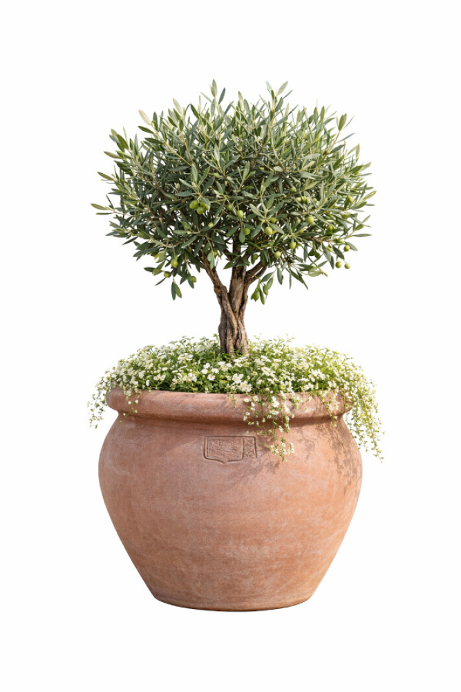 Vaso ventru Impruneta