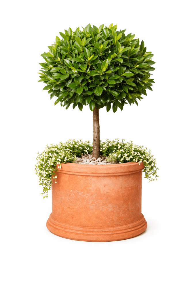 Cylindre de plantation en terracotta Impruneta – design moderne et intemporel