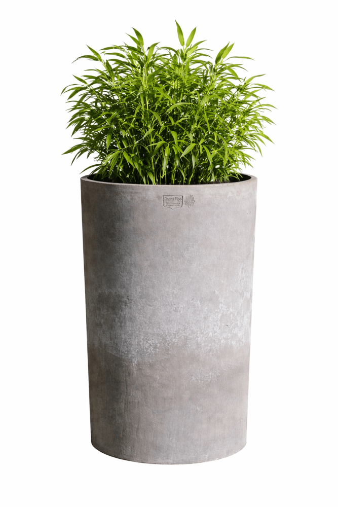 Preview: Grand pot moderne en terracotta grise d’Impruneta