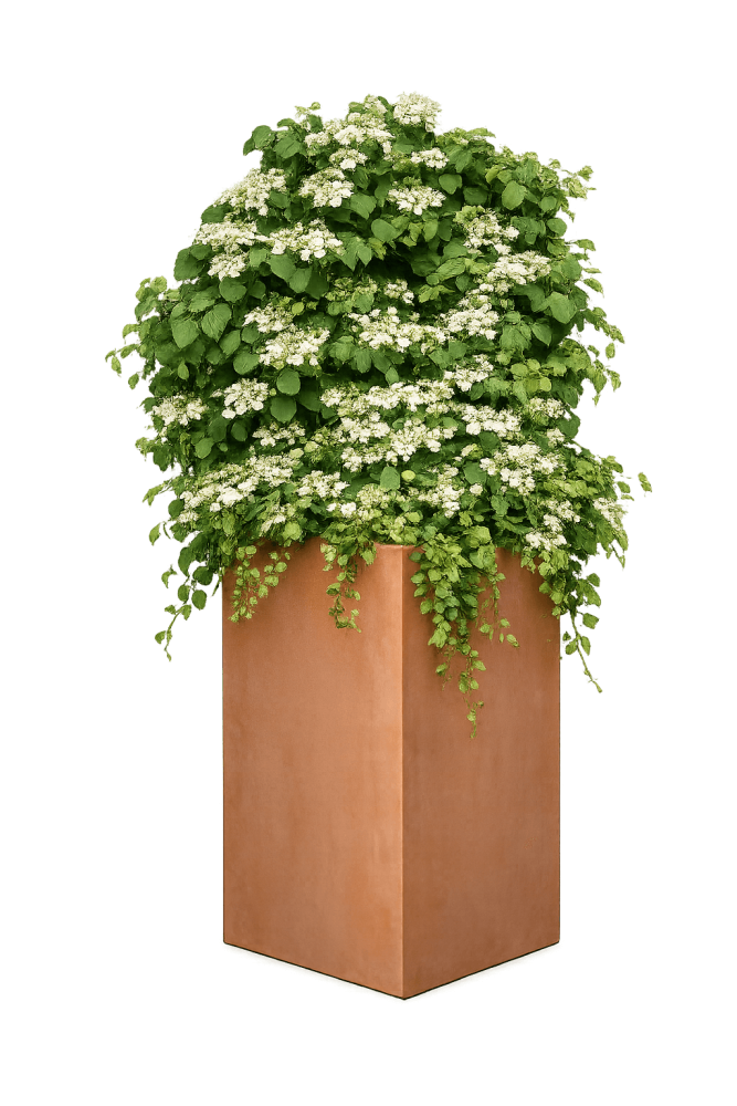 Pot mural moderne et carré en terre cuite d’Impruneta – design épuré et fonctionnalité naturelle