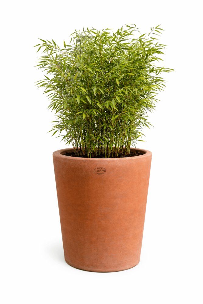 Vase design moderne en terracotta Impruneta – création artisanale Poggi Ugo