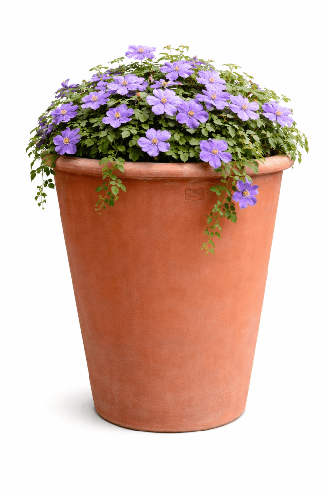 Vaso Pejrone a parete – pot mural élégant en terre cuite d’Impruneta