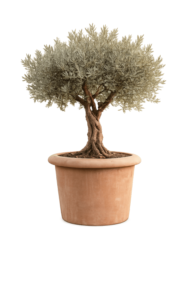 Grand pot en terre cuite Impruneta Ø75 × 68 cm – jardinière ronde pour olivier résistante au gel