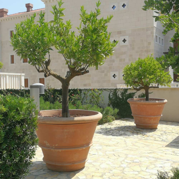 Pot en terre cuite Médicis de la Renaissance en terre cuite d’Impruneta authentique