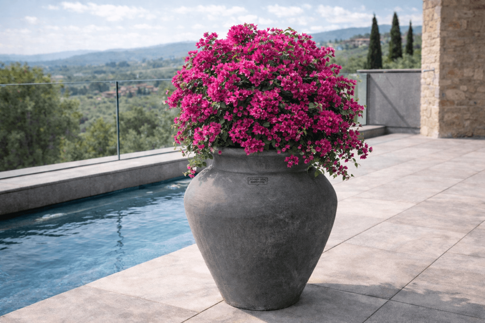 Amphore étrusque légèrement ventrue en terre cuite grise d’Impruneta – élégance toscane intemporelle