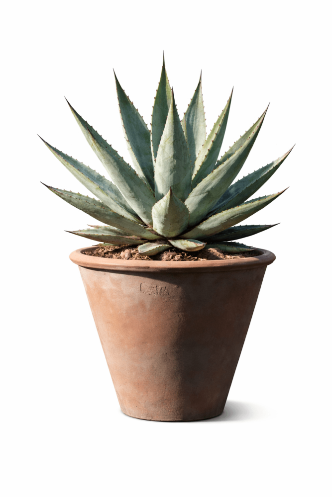 Pot en terre cuite moderne d’Impruneta – Vaso Lory