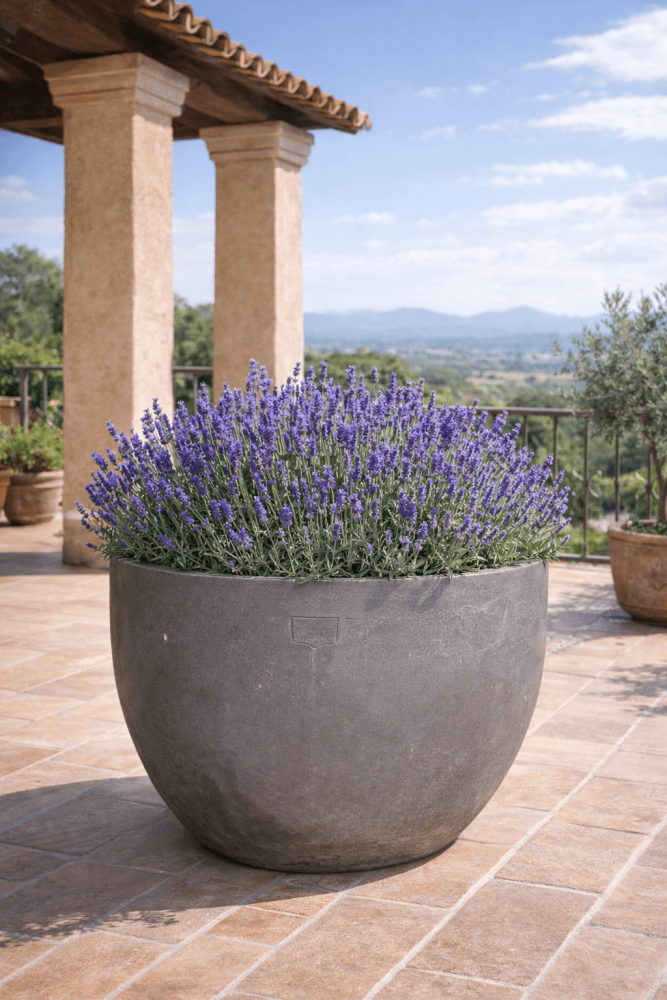 Pot en terracotta gris rond et moderne d’Impruneta