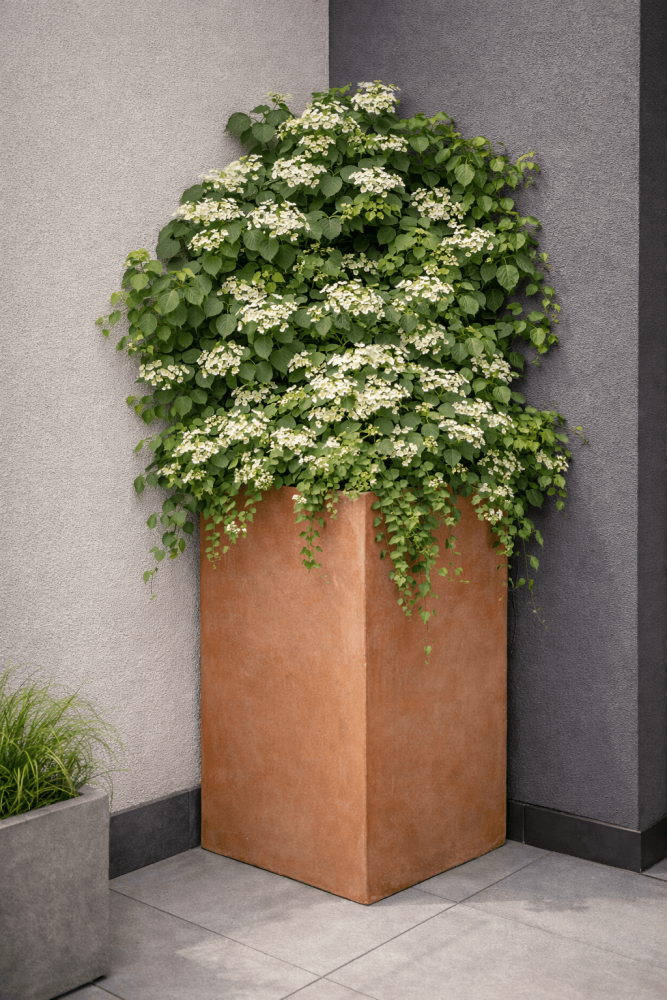 Pot mural moderne et carré en terre cuite d’Impruneta – design épuré et fonctionnalité naturelle