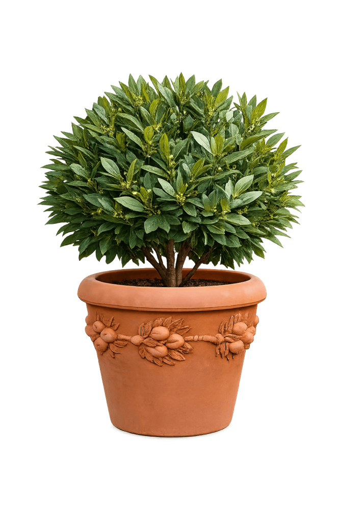 Vaso Robbiano – Vase en terre cuite d’Impruneta avec décor de branche fruitée