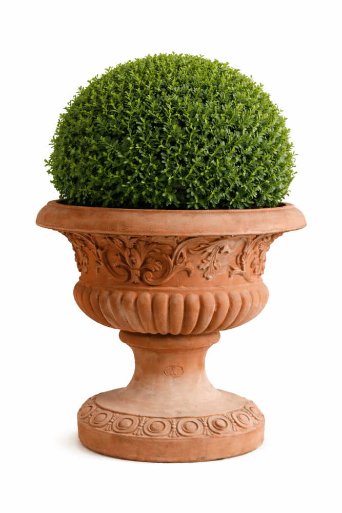 Grand vase Médicis en terre cuite d’Impruneta avec décor de feuilles