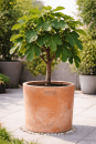 Terracotta d'Impruneta – design moderne et intemporel